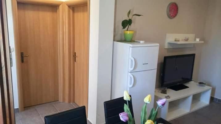 Apartment Dukic Sveti Filip i Jakov Exteriér fotografie
