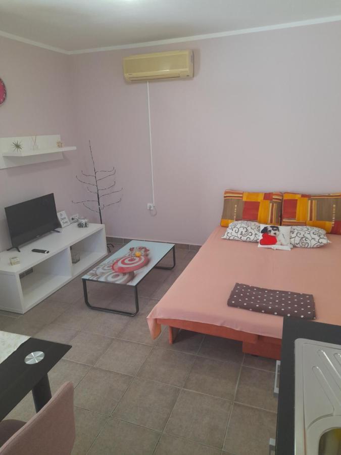 Apartment Dukic Sveti Filip i Jakov Exteriér fotografie