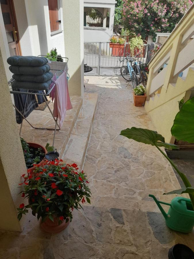 Apartment Dukic Sveti Filip i Jakov Exteriér fotografie