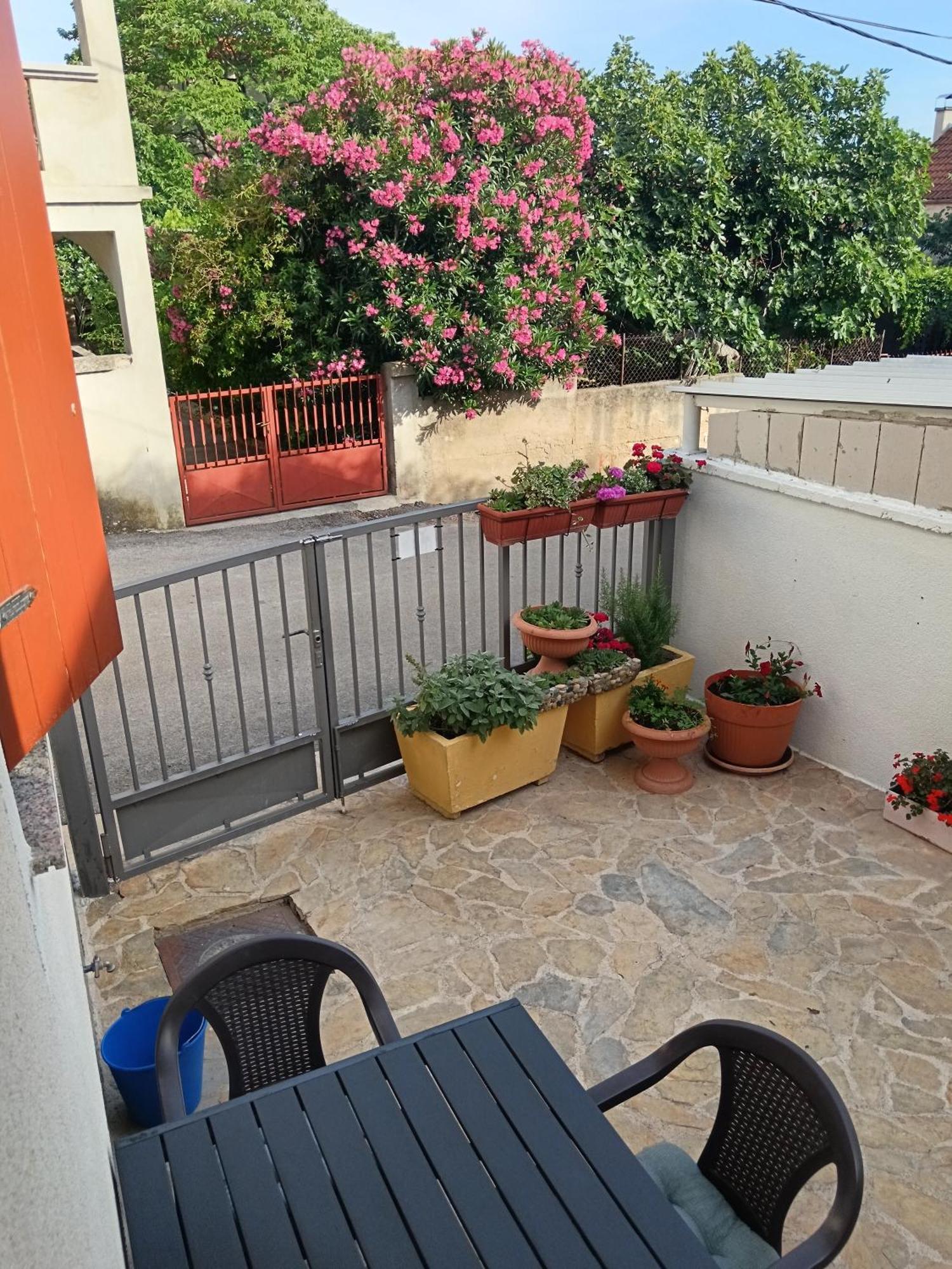 Apartment Dukic Sveti Filip i Jakov Exteriér fotografie