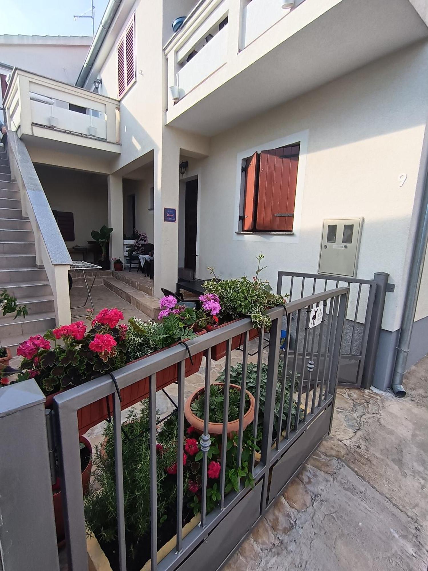 Apartment Dukic Sveti Filip i Jakov Exteriér fotografie